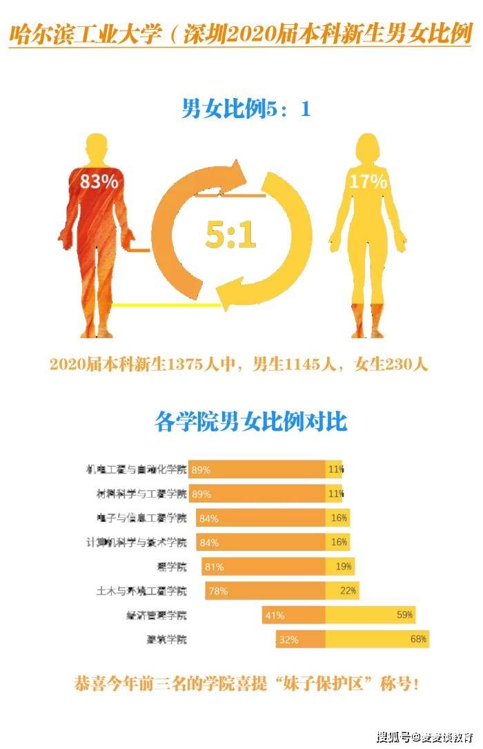 2020湛江男女比例图片