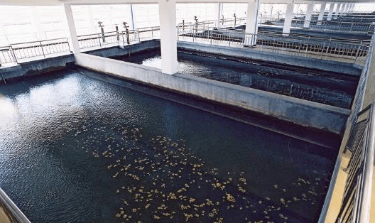 混凝沉淀池防腐问题怎么解决?