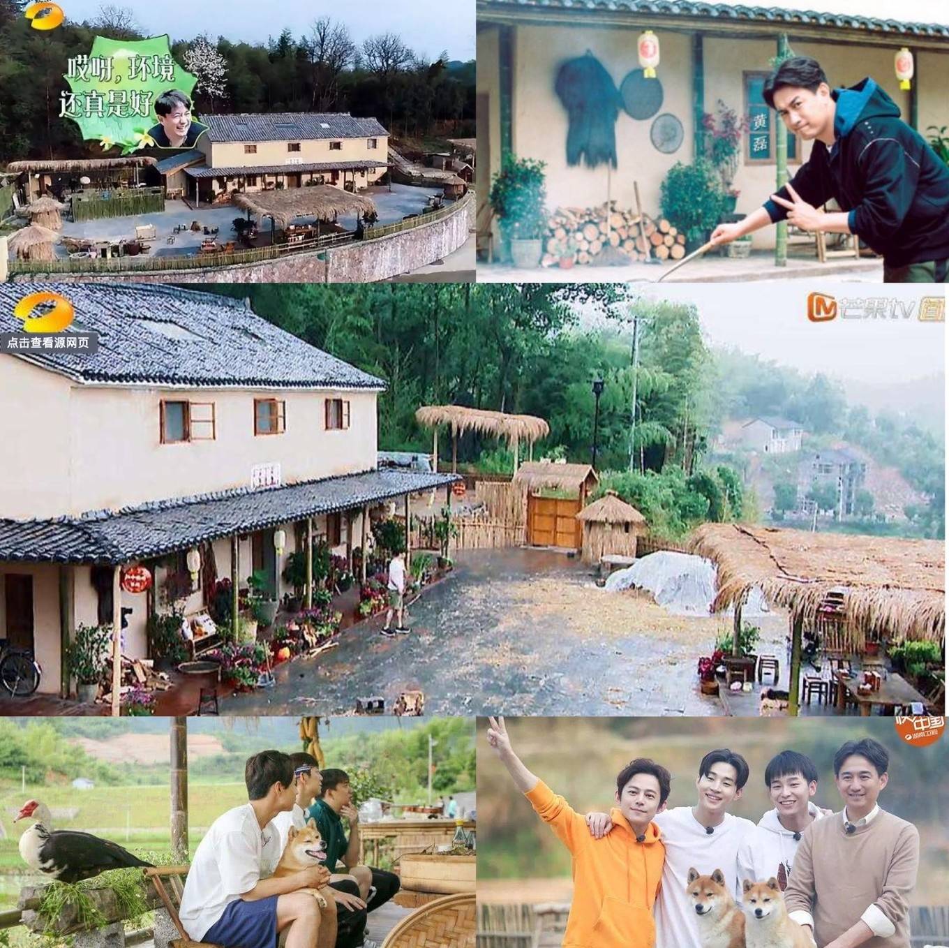 桐庐合岭村,曾因湖南卫视《向往的生活》蘑菇屋火爆网络,如今又有向往