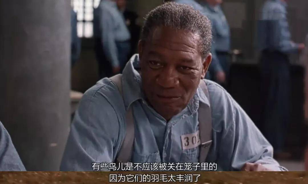 迷茫时人生可以有哪些突破口