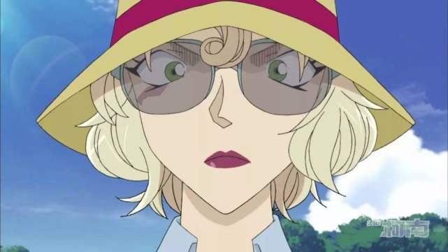 最后一个就是赤井玛丽,她是赤井秀一和世良真纯的母亲.