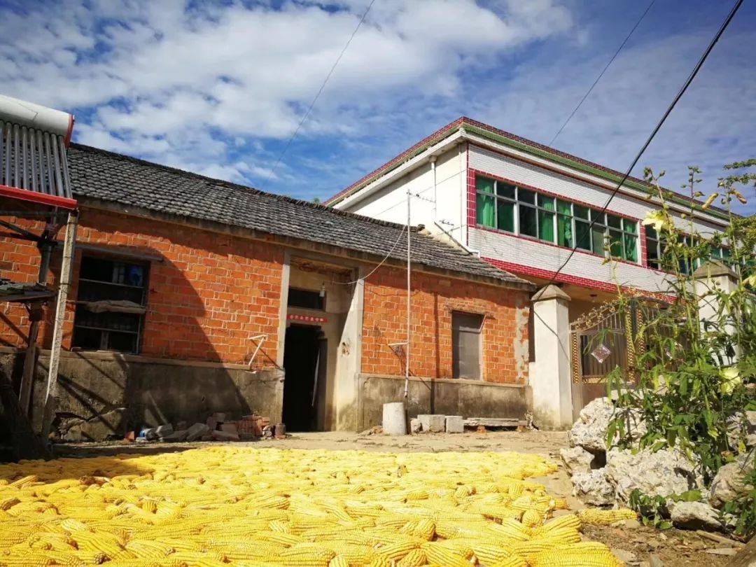 巢湖市苏湾镇黄山庙村,一户农民的院落. 马积慧 摄