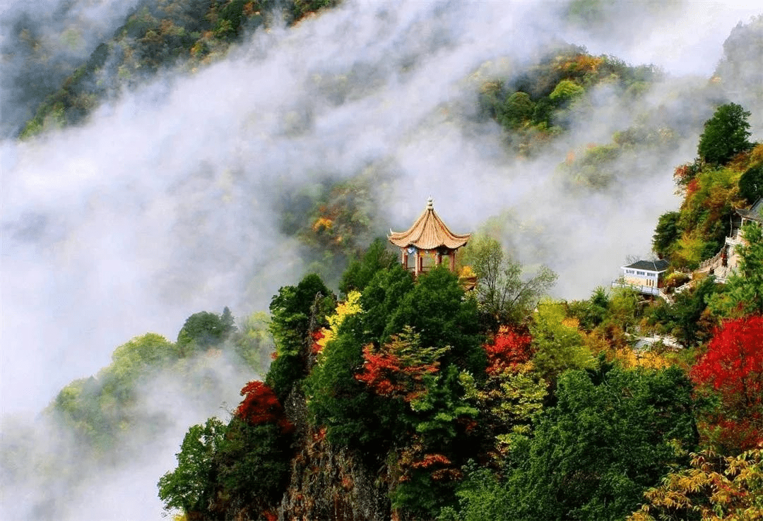 国庆去哪里巴山赏秋色南宫红叶时中国陕西岚皋南宫山红叶节开幕咧
