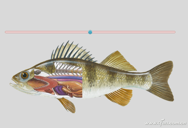 在"故事视图"状态,双击"无标题幻灯片"进入编辑窗口,设置好所需要的