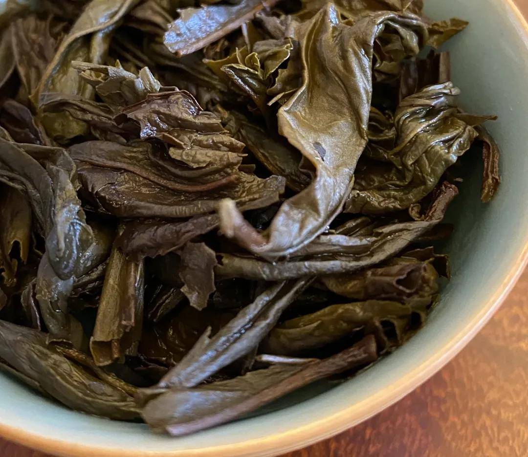 匠心之约白茶和岩茶手艺人在一起会聊什么