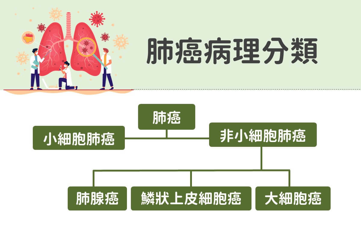 肺癌种类图片