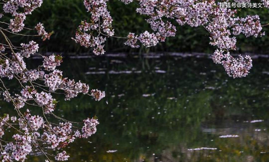 落絮游丝三月候,风吹雨洗一城花.