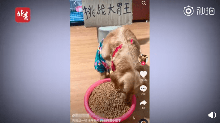 丹慧丨掌声给那些因为热爱而闪闪发光的人