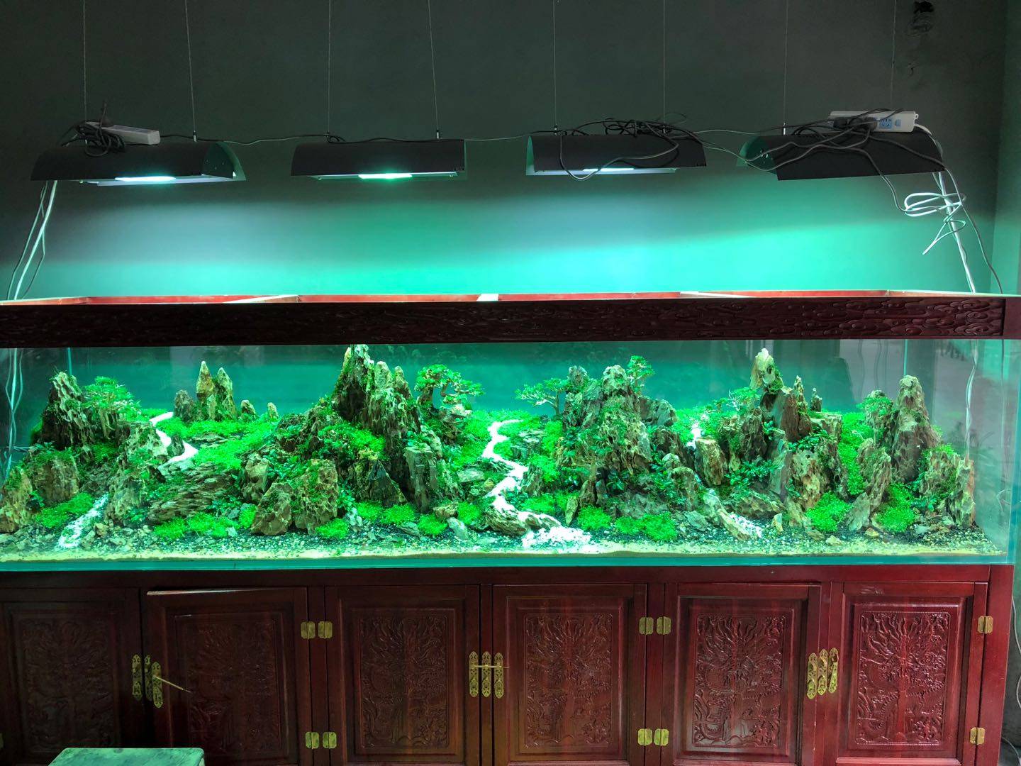 搭配那古香古色的实木底柜,使得这个水草缸犹如中国传统的山水画一般