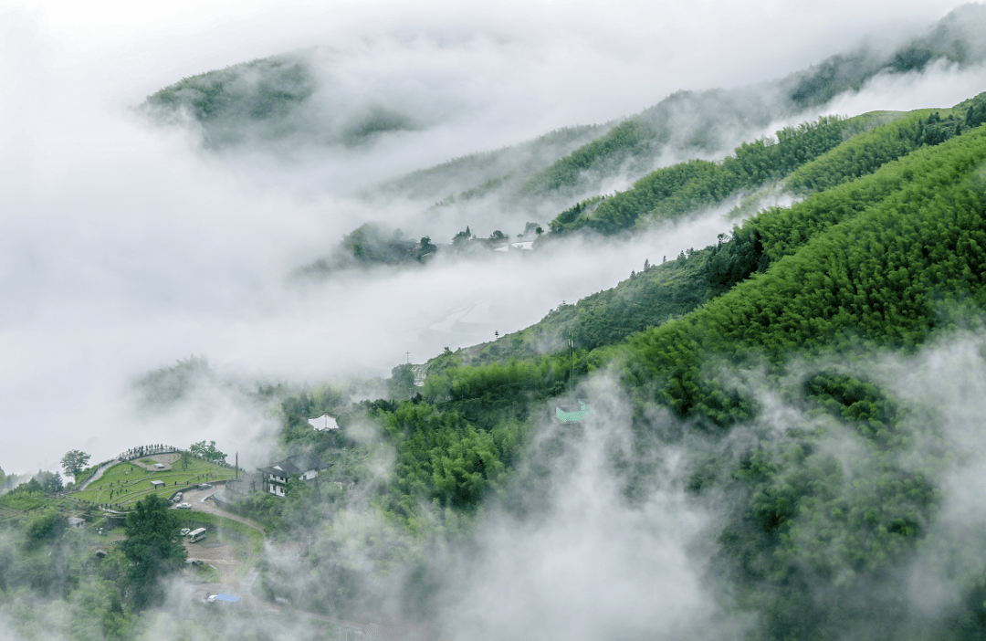 梯田十味一道来自云谷山房的人间至味笋衣铺蛋