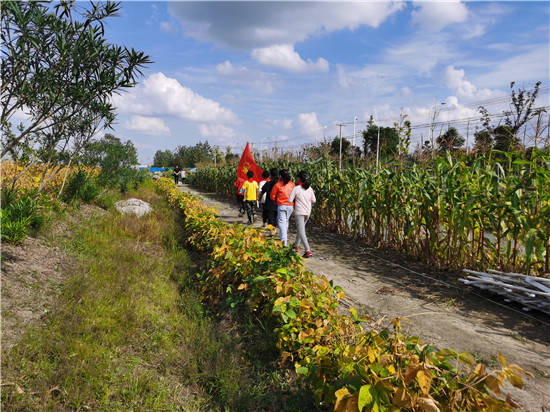 寻访小康路争做小先锋海安市南莫镇沙岗小学寻访小队寻访凤祥生态农庄