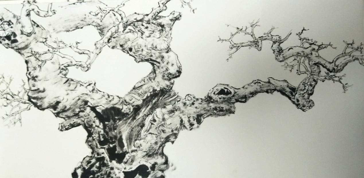 翰墨金秋61中国书画艺术名家—谭连华_手机搜狐网