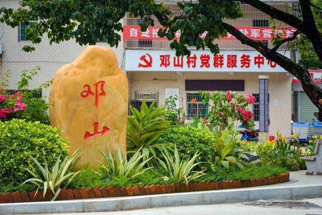 增城的小楼邓山:千亩百年乌榄树,梯田美景乡居乐