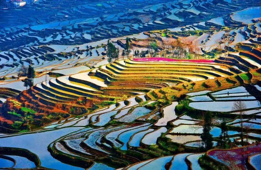 花样云南橙意满满引领旅游新热潮