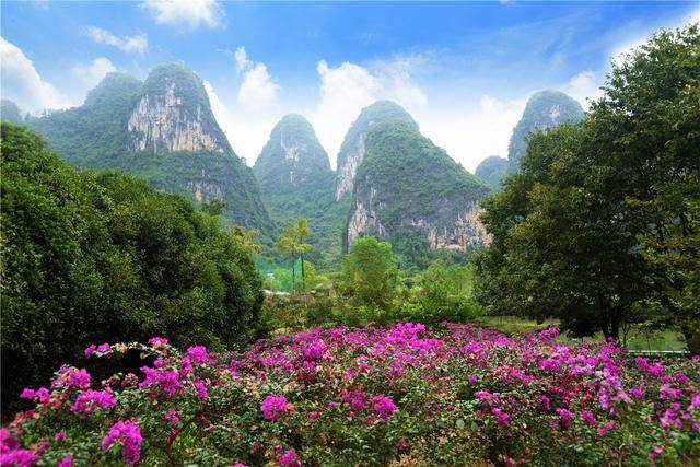 遇山乡舍:阳朔民宿旅行之十里画廊的九里花海去撒野