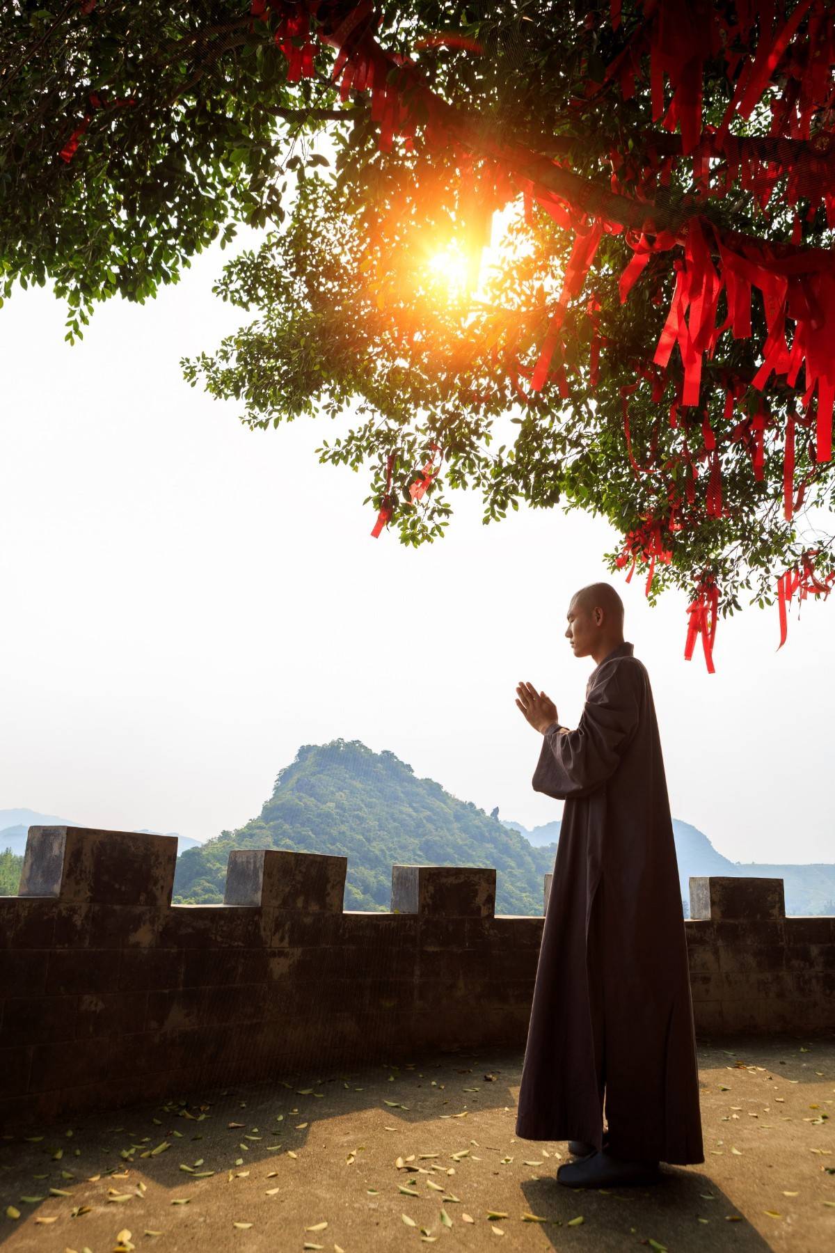 东华文化部 | 深山里的趣味灵魂