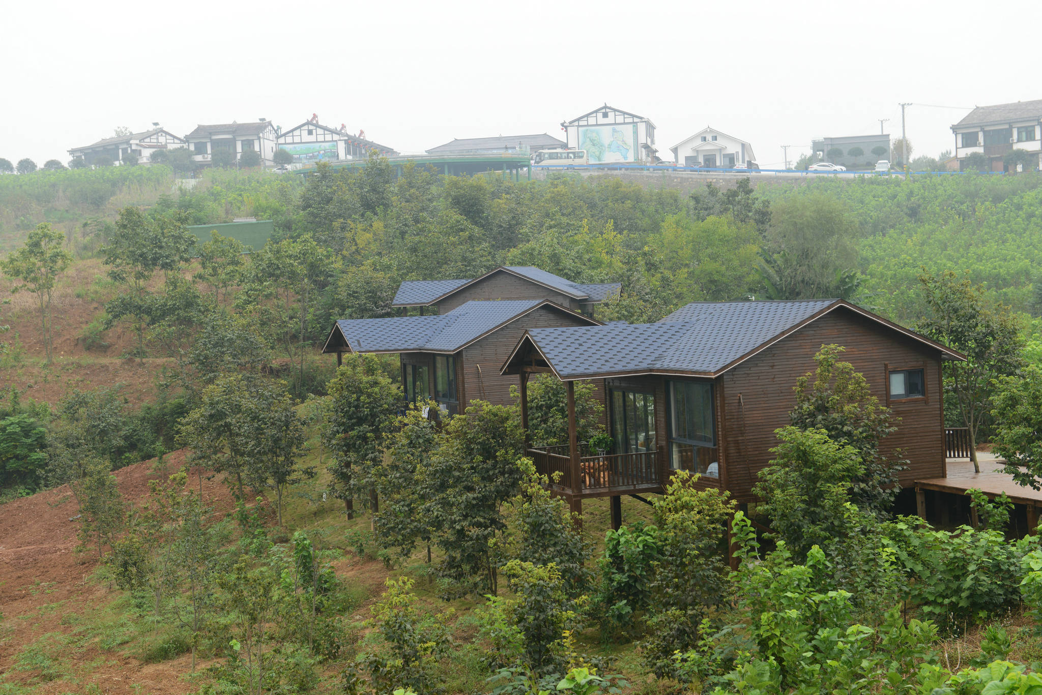 鎏金铜蚕出土地又增文旅网红打卡点石泉沧海桑田乡村游今日开启