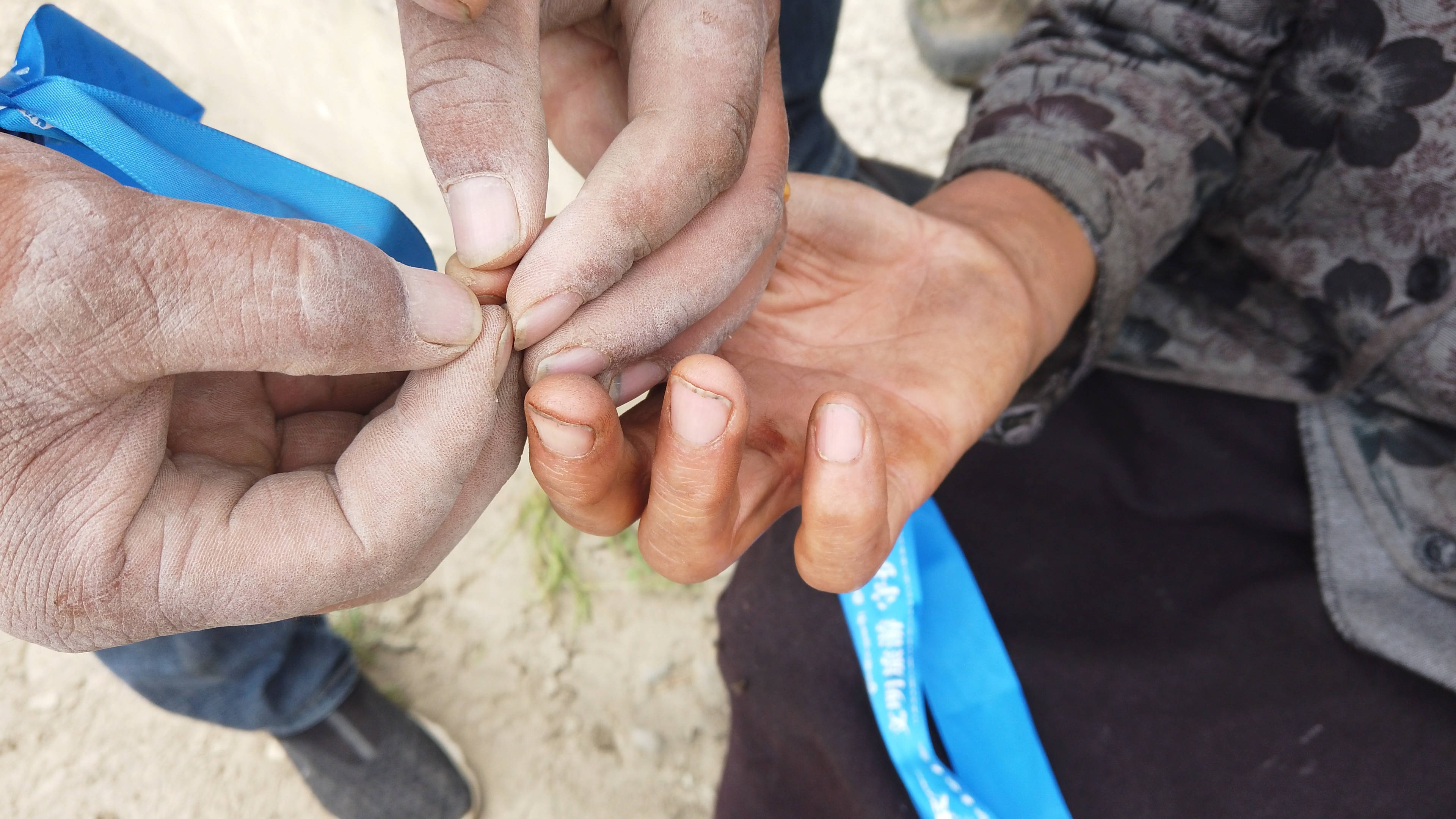 原创旅游垃圾无处安放,雪山下的村庄牛误食塑料,金属扣死亡