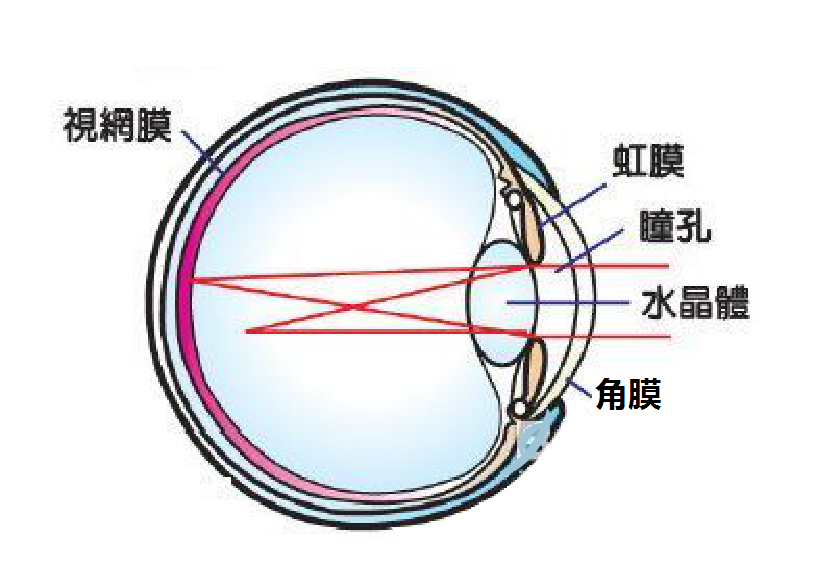 儘管現在並沒有臨床的實驗說揉眼睛及眯眼睛一定會造成散光,但多少是