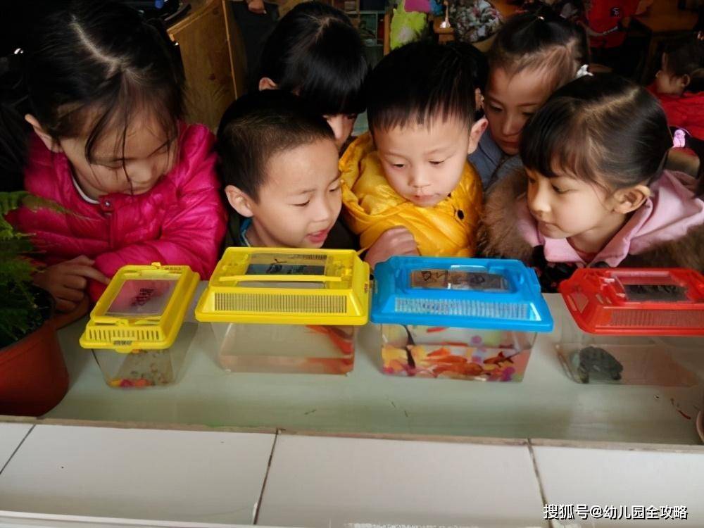 还有幼儿园老师开展科学活动《各种各样的鱼》,让小朋友带鱼来幼儿园