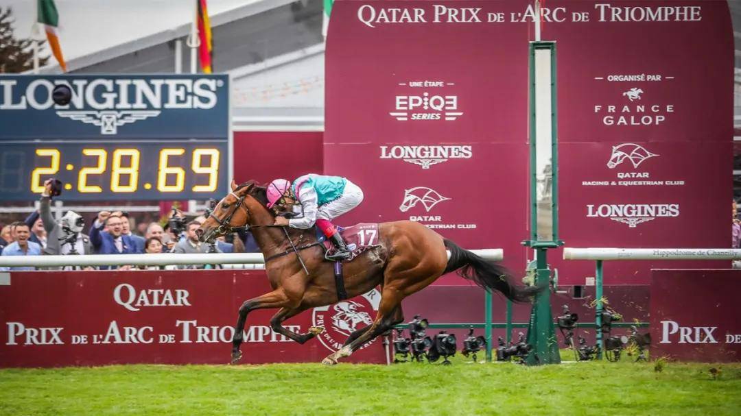 凡泰马术围栏快讯:"成全宝"成欧洲最高奖金赛马2020凯旋门大赛夺冠