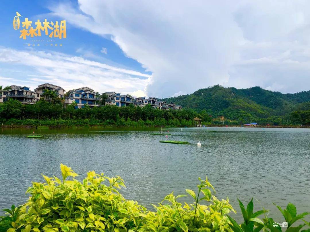 惠州碧桂园森林湖售楼处电话多少开发商电话多少