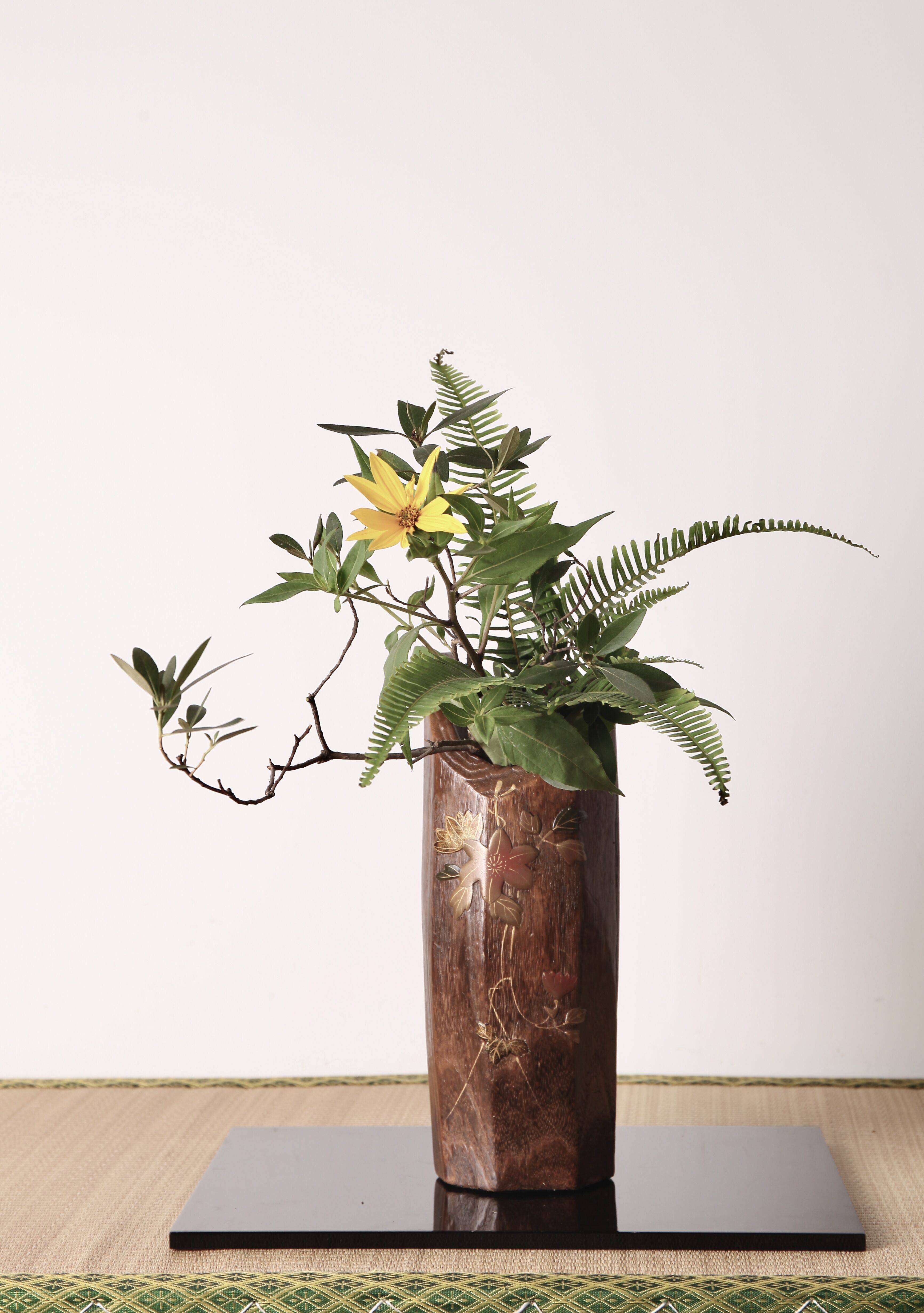 小原流西安兰印象花道|赏秋_手机搜狐网