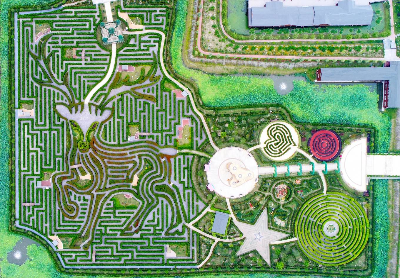 多彩湿地画里大丰荷兰花海中华麋鹿园梦幻迷宫让国庆假期更多彩