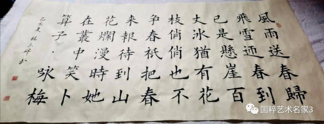 国粹艺术名家—— 杨玉碑_书法