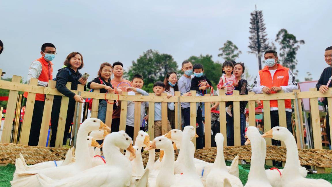 晒秋,乐秋,欢乐套鹅……在最田园的秋趣活动里收获最简单的欢乐