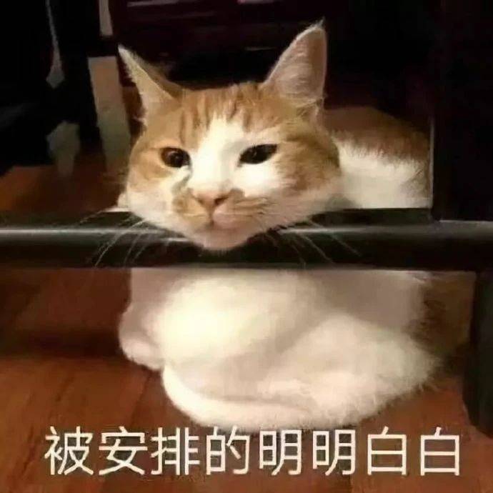 最新表情包图片可爱搞笑沙雕逗逼融为一体