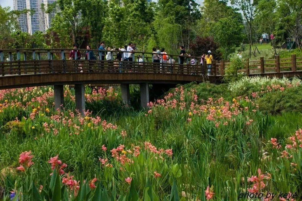 国庆不出远门,带你发现新罗公园游玩好去处!