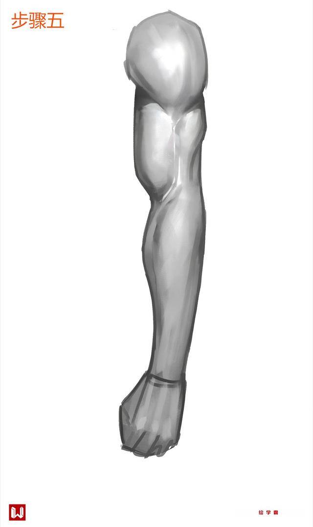 人体基础之手臂丨人体丨手臂丨ps教程