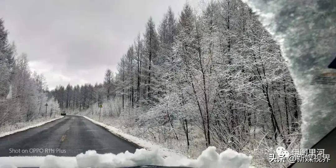 大兴安岭2020年第一场雪满归积雪厚度达20厘米