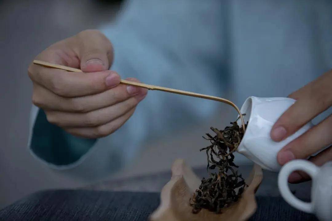 看听闻尝摸五步成识茶高手