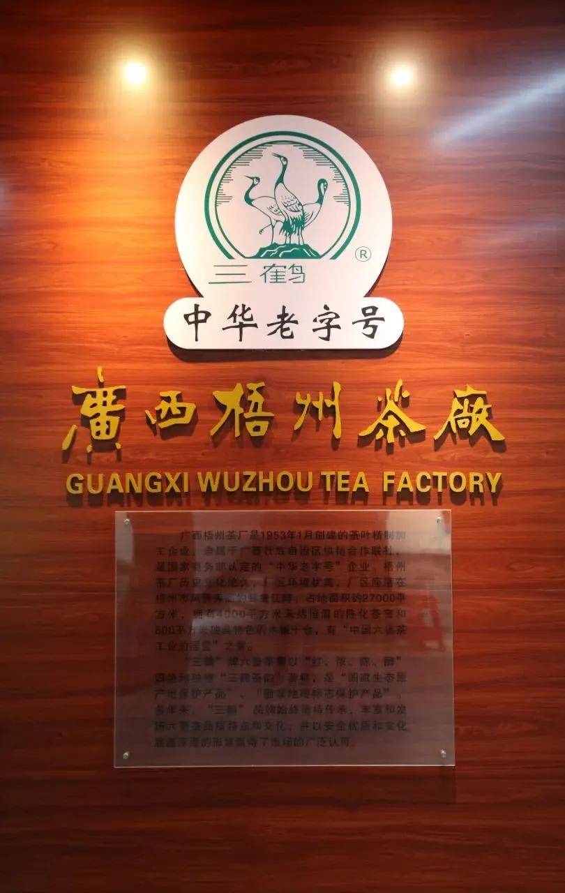【茗边聚焦】梧州六堡茶系列报道之二梧州茶厂:歌唱辉煌,三鹤飞翔