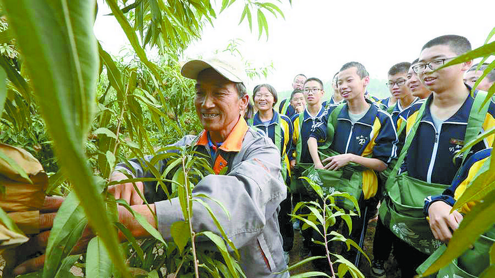 衡水二中學生採摘冬桃 10月12日,衡水阜城縣崔廟鎮張家橋首屆冬桃