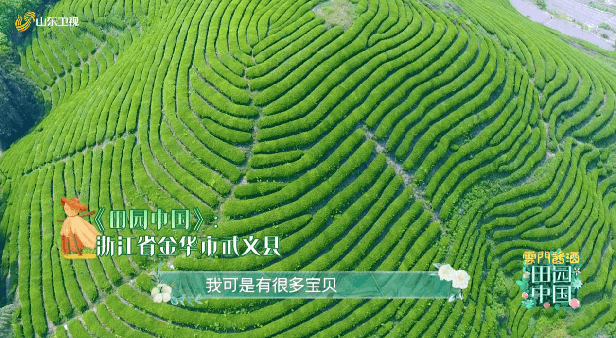 《田园中国》走进生态浙江省武义县 小县城做活温泉产业