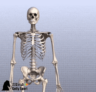 320_307gif 动态图 动图