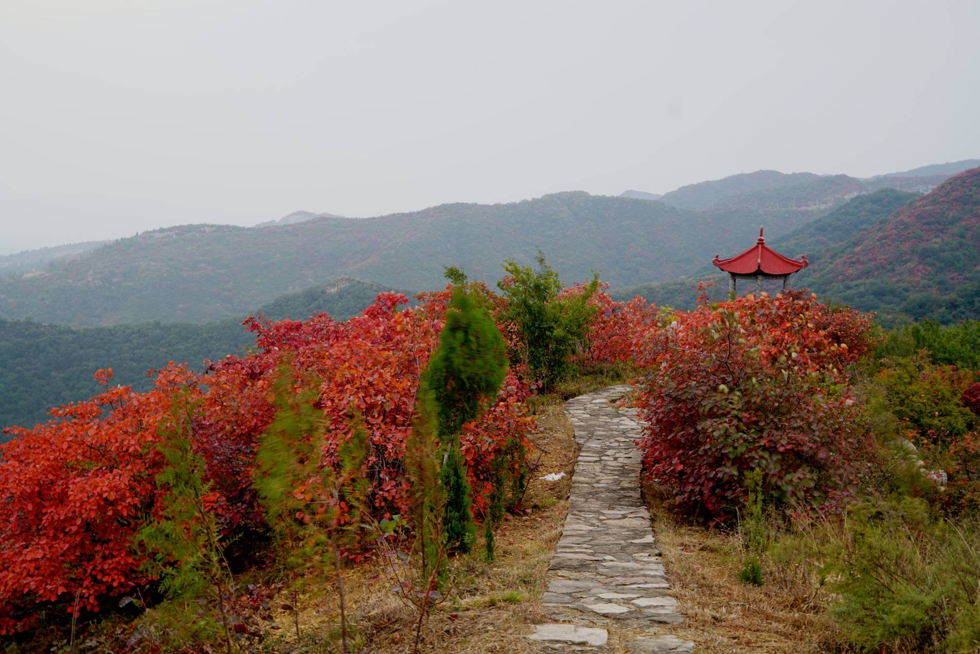 原创万木霜天红烂漫!巩义长寿山,还你一个秋天的童话