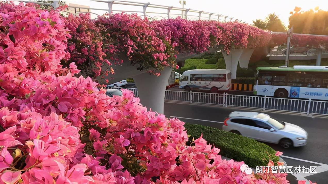 别人家的高架桥,为啥就这么好看?_立交桥