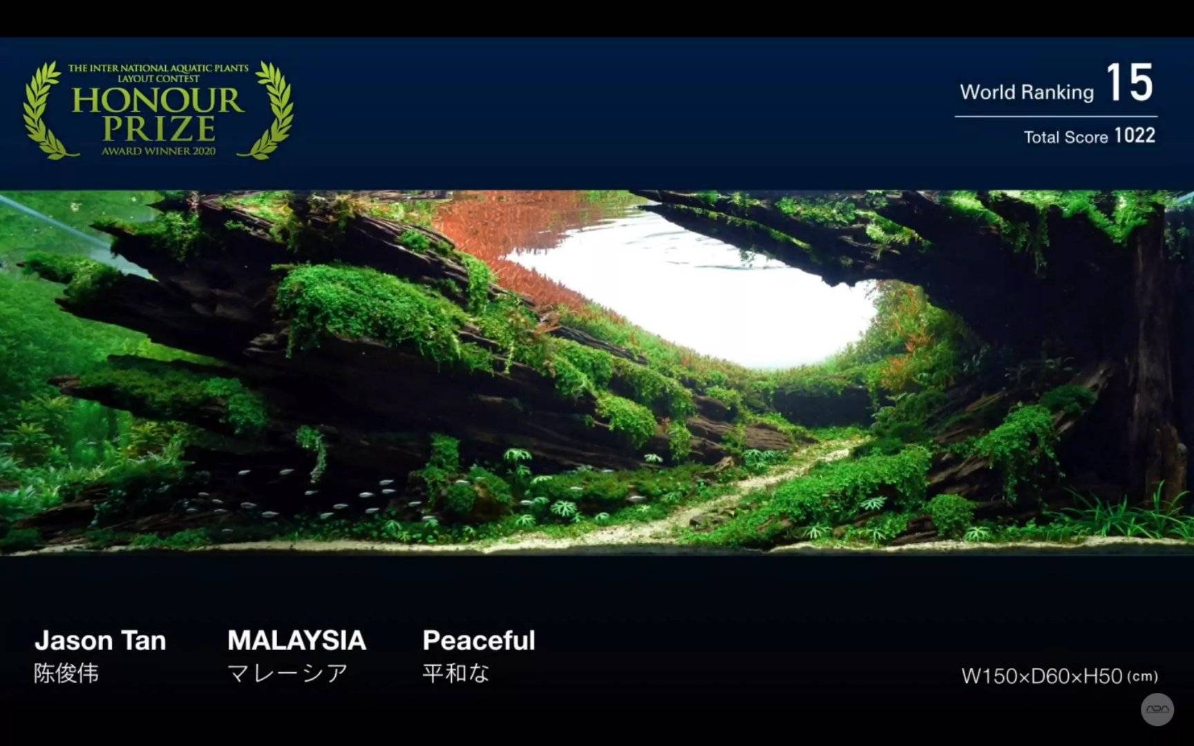 ada iaplc 2020水草造景比赛top27