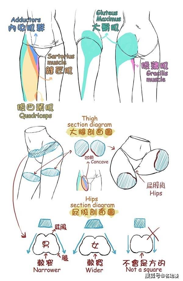不会画女生人体下半部位怎么办?_手机搜狐网