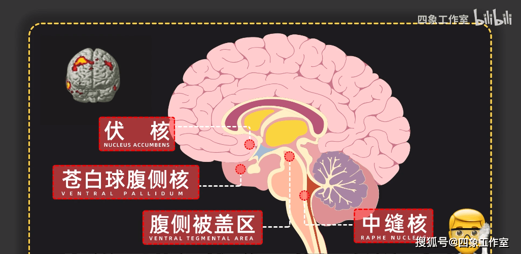 原创热恋期平均2.5年 8种化学物质让你坠入爱河