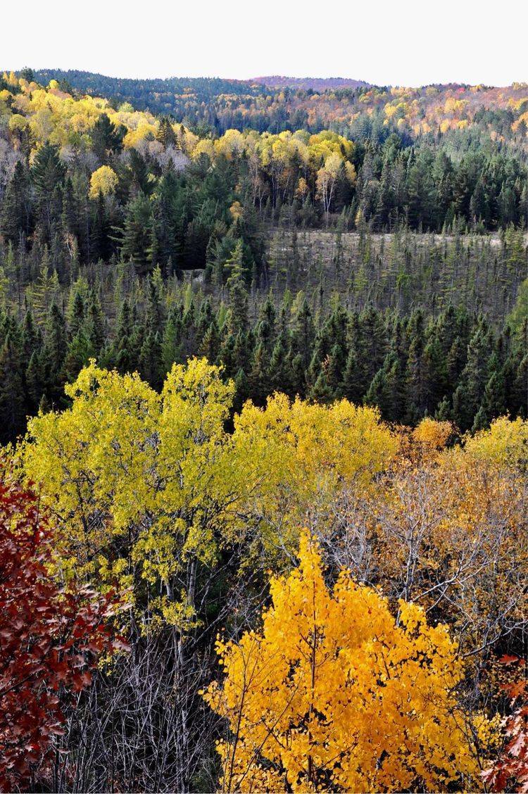 最美风景在秋季一一我镜头下的秋色