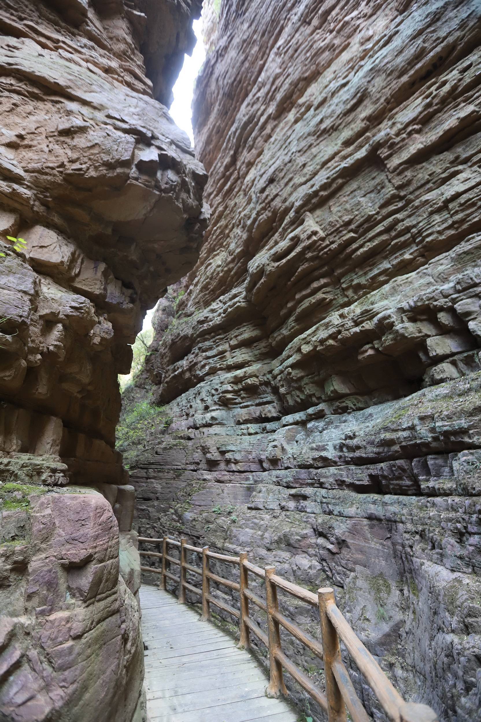 河南渑池:黄河丹峡红叶艳 七彩峡谷美如画