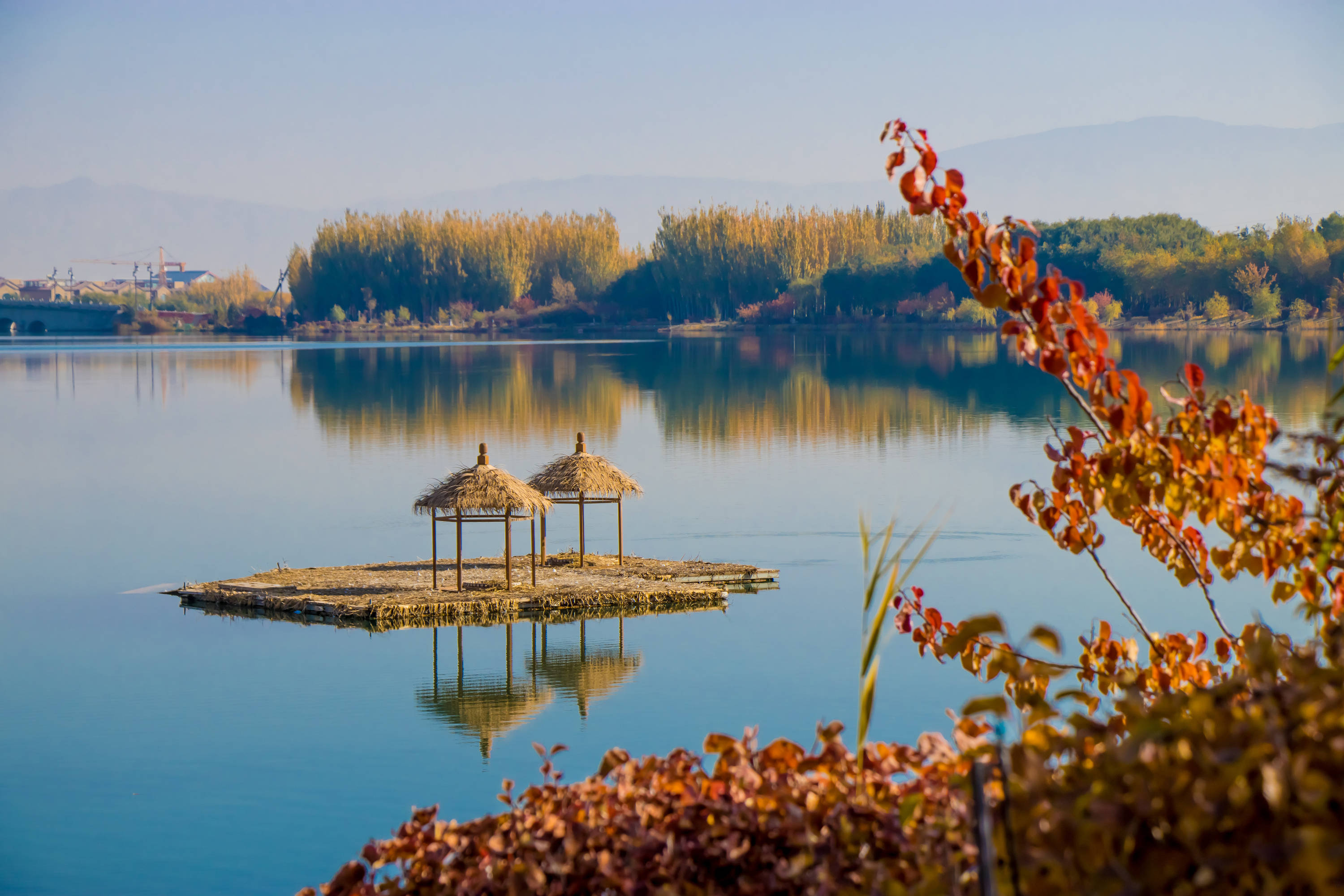 甘肃张掖:芦水湾生态公园色彩斑斓美如画_手机搜狐网