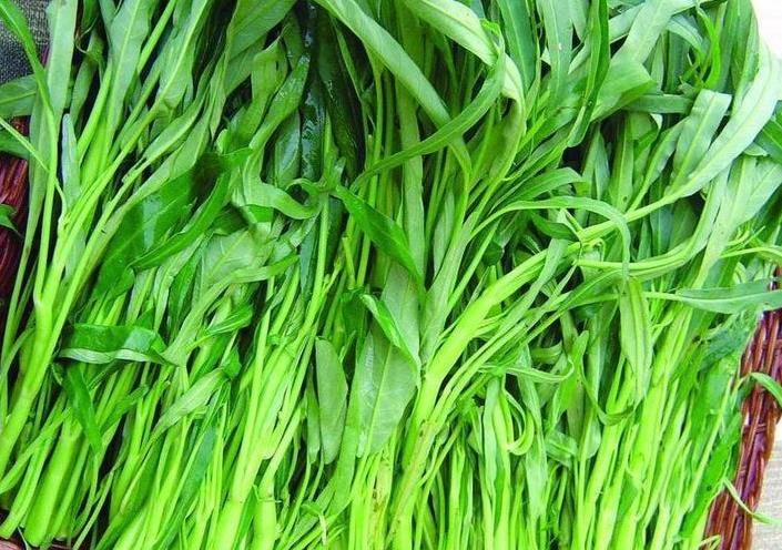 空心菜中的叶绿素有绿色精灵之称,可洁齿防龋除口臭,健美皮肤,堪称