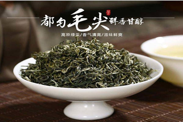 特产早知道——都匀毛尖