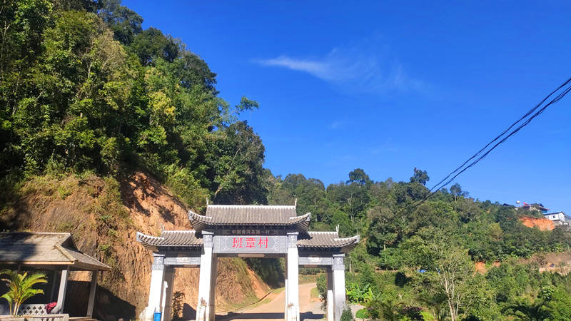 普洱茶大縣勐海縣靠什麼後來居上,勐海味又是什麼_茶廠